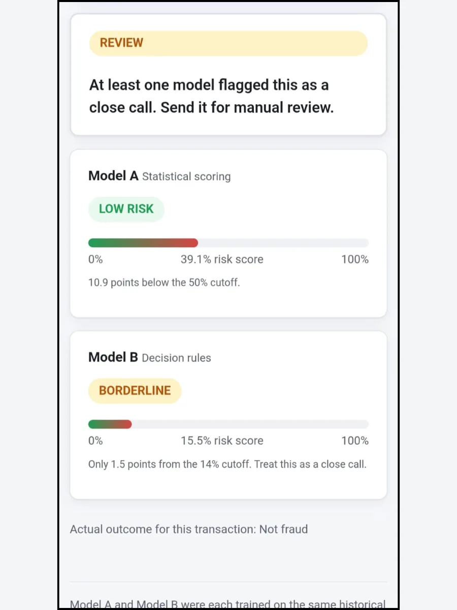 Fraud Detection System preview